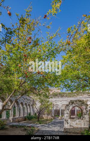 Chiostro di San Giovanni degli Eremiti Foto Stock