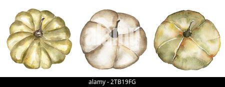 Illustrazione del set di zucche dipinte a mano acquerello Foto Stock