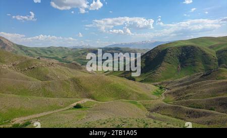 Mandria di pecore che pascolano sui prati verdi con le montagne. Un gregge di pecore nelle alture dell'altopiano iraniano. Lorestan. Durood Foto Stock