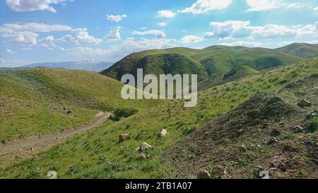Mandria di pecore che pascolano sui prati verdi con le montagne. Un gregge di pecore nelle alture dell'altopiano iraniano. Lorestan. Durood Foto Stock