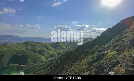 Mandria di pecore che pascolano sui prati verdi con le montagne. Un gregge di pecore nelle alture dell'altopiano iraniano. Lorestan. Durood Foto Stock