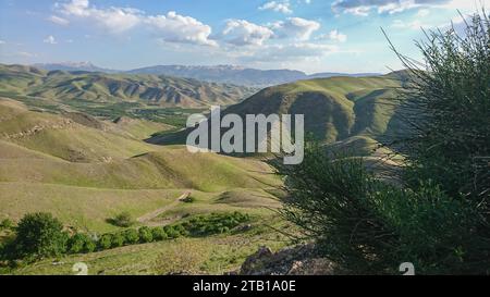 Mandria di pecore che pascolano sui prati verdi con le montagne. Un gregge di pecore nelle alture dell'altopiano iraniano. Lorestan. Durood Foto Stock