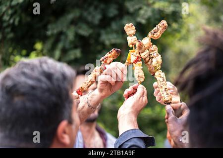 Primo piano di brindare con deliziosi spiedini grigliati, per celebrare il buon cibo e la compagnia. Foto Stock