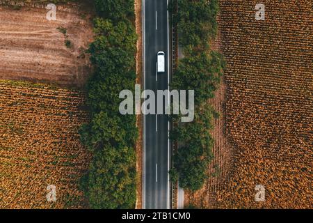 Pulmino commerciale bianco che viaggia lungo la strada stradale attraverso paesaggi di campagna, ripresa aerea dal drone pov, direttamente sopra Foto Stock