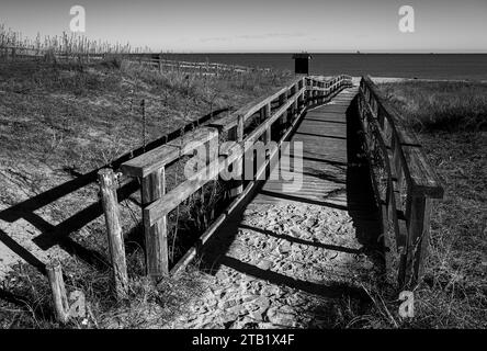 Ingresso alla spiaggia di Wood (Punta Marina, Italia) Foto Stock