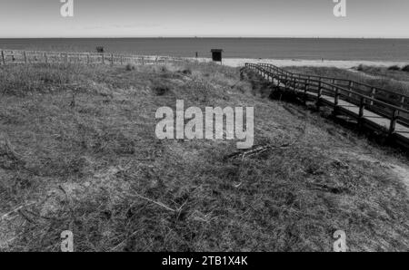 Ingresso alla spiaggia di Wood (Punta Marina, Italia) Foto Stock