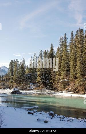 Scenario invernale di tranquilli fiumi e pini a Canmore, Alberta Foto Stock
