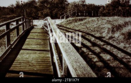 Ingresso alla spiaggia di Wood (Punta Marina, Italia) Foto Stock