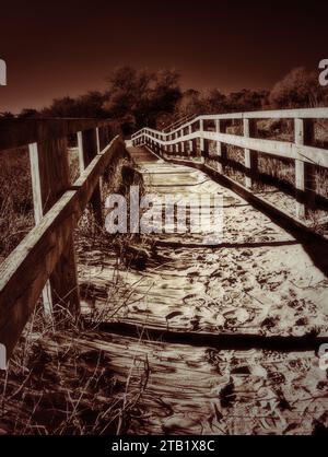 Ingresso alla spiaggia di Wood (Punta Marina, Italia) Foto Stock