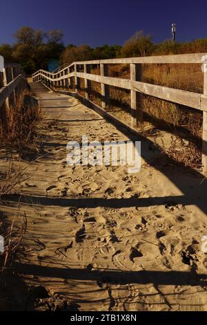 Ingresso alla spiaggia di Wood (Punta Marina, Italia) Foto Stock