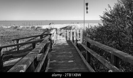 Ingresso alla spiaggia di Wood (Punta Marina, Italia) Foto Stock