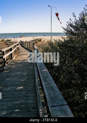 Ingresso alla spiaggia di Wood (Punta Marina, Italia) Foto Stock