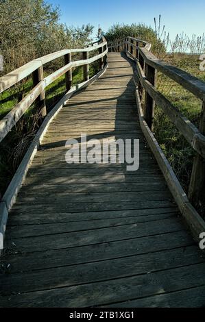 Ingresso alla spiaggia di Wood (Punta Marina, Italia) Foto Stock