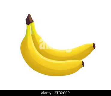 Mazzo di banane. Tre frutta tropica fresca. Illustrazione realistica isolata su sfondo bianco. Icona clip art Foto Stock