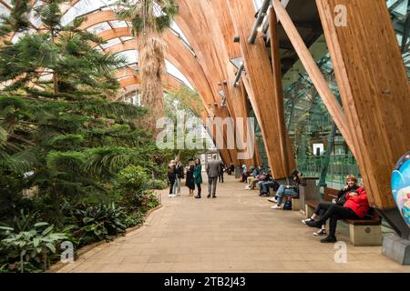 Persone sedute e rilassanti sulle panchine a Winter Garden, Sheffield, Yorkshire, Regno Unito Foto Stock