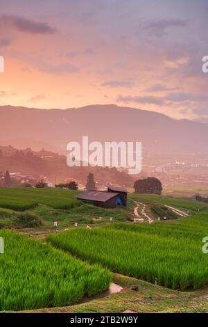 Obasute, Nagano, Giappone terrazze di riso al crepuscolo d'estate. Foto Stock