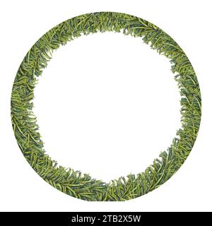 Corona di Natale ad acquerello, cornice rotonda verde di rami di abete natalizio per inviti, biglietti, adesivi, etichette, poster, cornici e striscioni, inverno Foto Stock