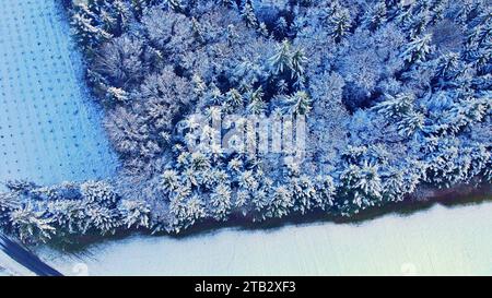 Tempesta di neve invernale foresta nazionale di Perigord vista aerea Dordogne Francia Foto Stock