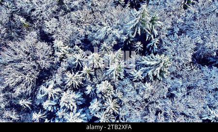 Tempesta di neve invernale foresta nazionale di Perigord vista aerea Dordogne Francia Foto Stock