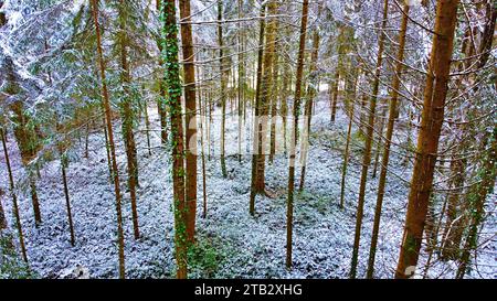 Tempesta di neve invernale foresta nazionale di Perigord vista aerea Dordogne Francia Foto Stock