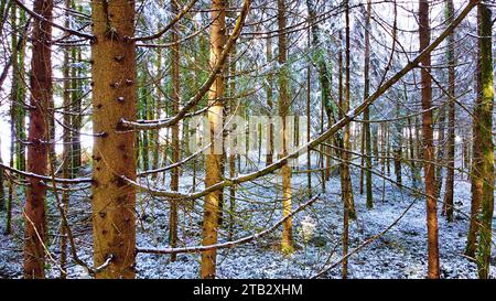 Tempesta di neve invernale foresta nazionale di Perigord vista aerea Dordogne Francia Foto Stock