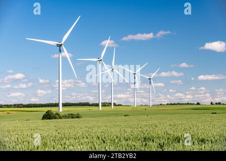 Parco eolico: Turbine eoliche in mezzo a campi coltivati. Cinque turbine eoliche di fila. Campo di grano Foto Stock
