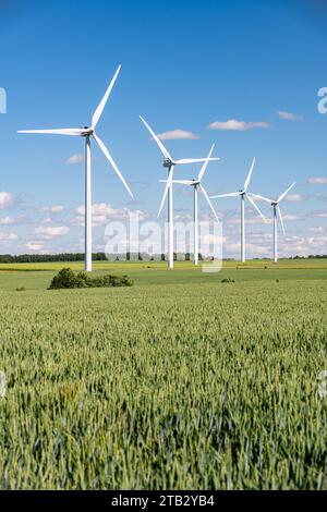 Parco eolico: Turbine eoliche in mezzo a campi coltivati. Cinque turbine eoliche di fila. Campo di grano Foto Stock