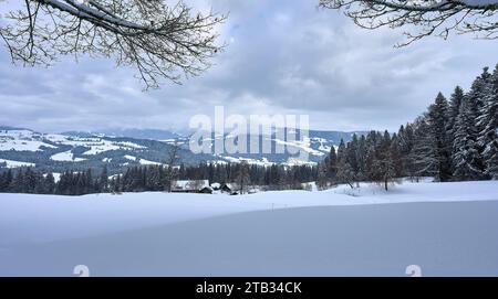 Vista panoramica sulle montagne della Foresta di Bregenz in inverno, Vorarlberg, Austria Foto Stock