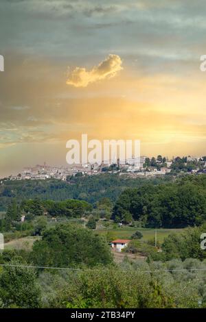 Vista sul paese di Montepulciano, situato su una collina con ulivi alle pendici, Toscana, Italia Foto Stock