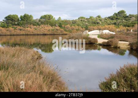 Parco naturale di Albufera des Grau. Minorca Riserva della Biosfera, Isole Baleari, Spagna. Foto Stock