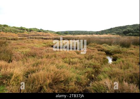 Parco naturale di Albufera des Grau. Minorca Riserva della Biosfera, Isole Baleari, Spagna. Foto Stock