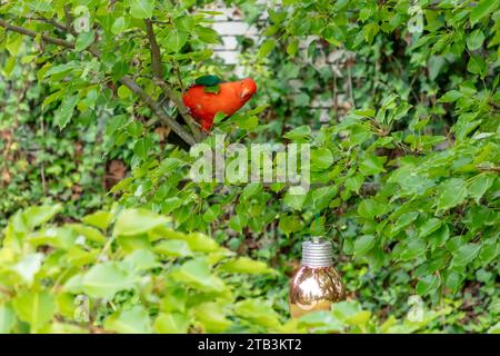 Fotografia di un pappagallo australiano maschio rosso seduto in un verde albero in un giardino domestico nelle Blue Mountains in Australia Foto Stock