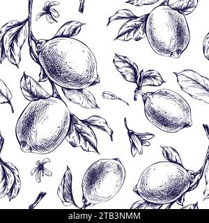 Limoni succosi, maturi con foglie, boccioli di fiori sui rami, interi e a fette. Illustrazione grafica botanica disegnata a mano in inchiostro blu. Ripetizione senza cuciture Illustrazione Vettoriale