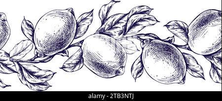 Limoni succosi, maturi con foglie, boccioli di fiori sui rami, interi e a fette. Illustrazione grafica botanica disegnata a mano in inchiostro blu. Bordo senza cuciture Illustrazione Vettoriale