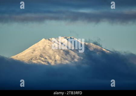 USA, Oregon, Central, Bend, Rancho las Herbas, Mount Bachelor Foto Stock