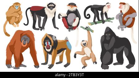 Diverse scimmie si riproducono. Personaggi delle scimmie dei cartoni animati, animali umanoidi selvatici, pose diverse, primati divertenti, fauna selvatica esotica, isolata su sfondo bianco Illustrazione Vettoriale