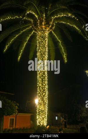 Noreña, Spagna, 4 dicembre 2023: Un albero di palma illuminato per vedere l'accensione delle luci natalizie durante il Noreña Christmas Lights switching On, il 4 dicembre 2023, a Noreña, in Spagna. Credito: Alberto Brevers / Alamy Live News. Foto Stock