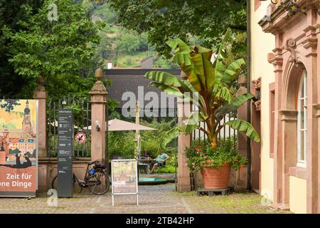 Kurpfälzisches Museum, Hauptstraße, Heidelberg, Baden-Württemberg, Deutschland *** Kurpfälzisches Museum, Hauptstraße, Heidelberg, Baden Württemberg, Germany Credit: Imago/Alamy Live News Foto Stock