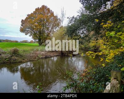 Palliativo paesaggio ripariano lungo il fiume Wey a Wisley che mostra colori autunnali. Alta risoluzione, Foto Stock