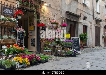 Esterno di un negozio di fiori con piante fiorite esposte sul marciapiede in un vicolo del borgo medievale di Finalborgo, finale Ligure, Savona, li Foto Stock