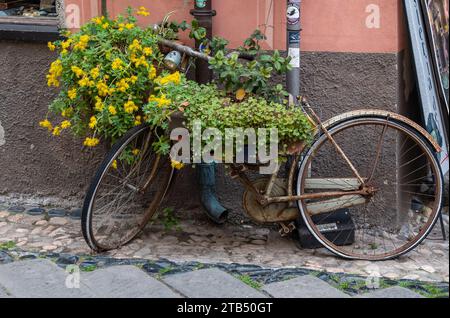 Una vecchia bicicletta arrugginita riutilizzata come portavaschi per piante da fiore in un angolo di strada del borgo medievale, Finalborgo, finale Ligure, Savona Foto Stock