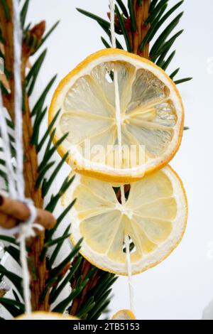 Vicino, rotondo, decorazione natalizia, appendere la frutta all'aperto sul ramoscello di abete rosso, pezzi di arance tagliati a fette Foto Stock