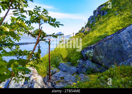 Vecchia scala in legno sul sentiero della salute attraverso il paesaggio montano norvegese Foto Stock