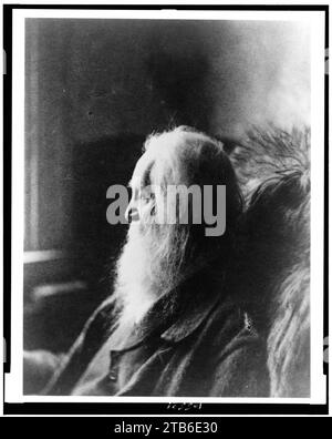 Walt Whitman, testa e spalle ritratto, rivolto verso sinistra Foto Stock