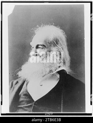 Walt Whitman, testa e spalle ritratto, rivolto verso sinistra Foto Stock