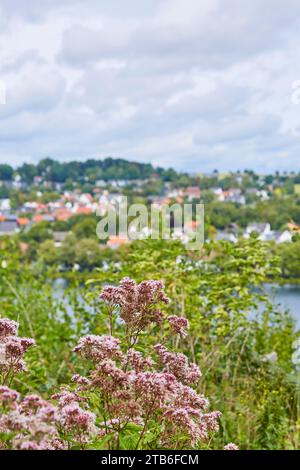 Blick auf die Möhnetalsperre, Brüningser Heide, Kreis Soest, Nordrhein-Westfalen, Deutschland, Renania settentrionale-Vestfalia, Germania, credito: Sarah Bömer Foto Stock