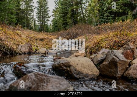 Cascata nella Deschutes National Forest Foto Stock