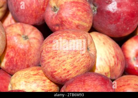 Primo piano su una pila di mele Red Delicious appena raccolte in vendita al mercato agricolo. Foto Stock