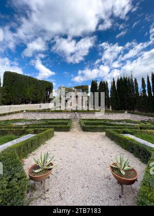 Cespugli splendidamente rifiniti sotto forma di forme geometriche nel giardino Foto Stock