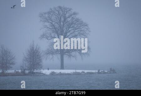 Schwerin, Germania. 5 dicembre 2023. Un albero sorge sulla riva del lago Schwerin ed è appena visibile nella nevicata. Forti nevicate in luoghi e temperature al di sotto del congelamento ostacolano il traffico nella Germania settentrionale. Credito: Jens Büttner/dpa/Alamy Live News Foto Stock